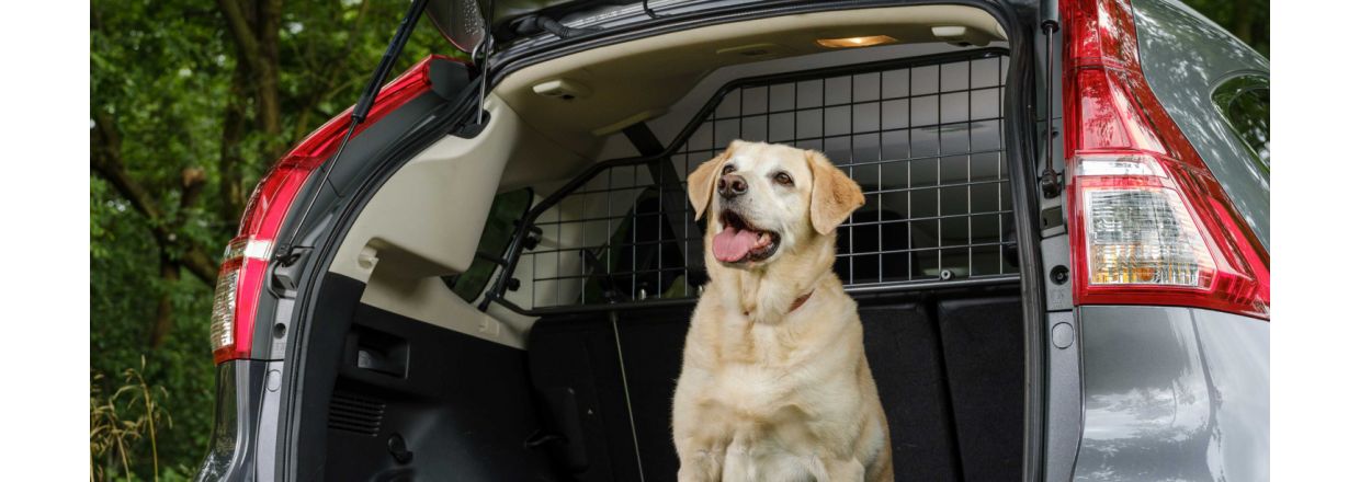 Hvorfor vlge Travall hundegitre? Universal vs Bilbestemt