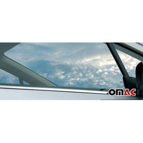 RUDELISTER KROM - RENAULT SCENIC II 2003-> 2009 MPV - ANTAL 4 STK