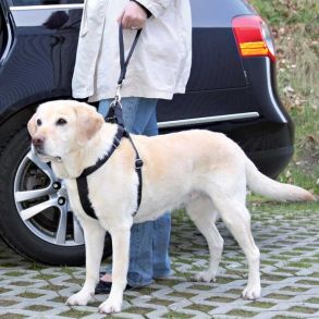 Selestrop M/ Karabinhage - TRIXIE - L. 27 cm