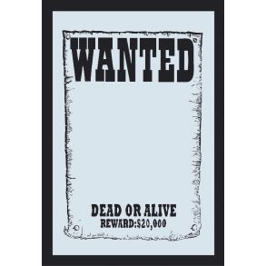Spejl M/ Motiv - Wanted - Str. 32 x 22 cm
