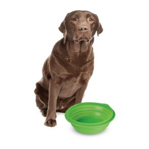 Hundeskl Til Turen Foldbar - Volume 1 Liter