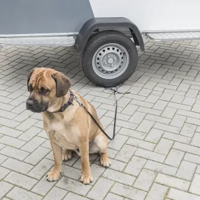 Fastgrelsesplade til hunde - Drive-On plade til hunde - 298x120 mm