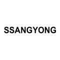 Ssangyong Sidelister